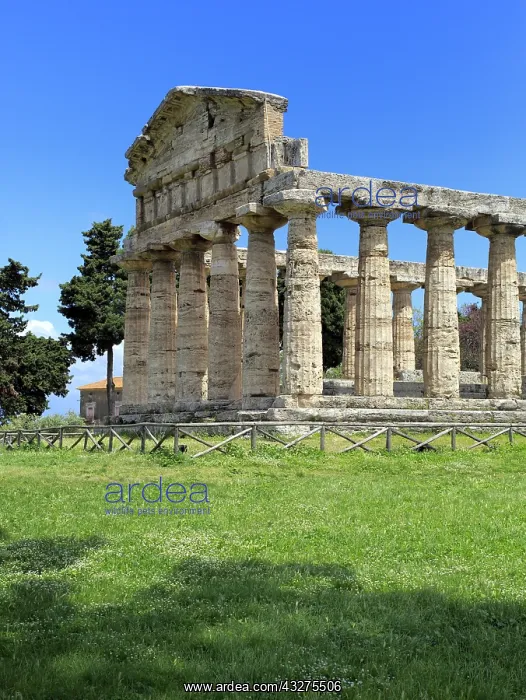 : geography / travel, Italy, Temple of Athena (500 : geography / travel, Italy, Temple of Athena (500