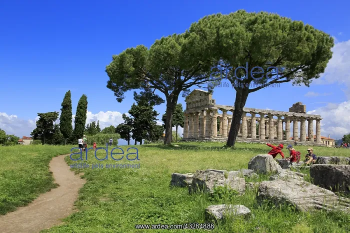 : geography / travel, Italy, Temple of Athena (500 : geography / travel, Italy, Temple of Athena (500