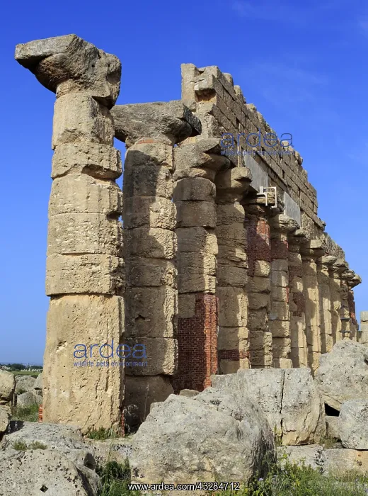 : geography / travel, Italy, Temple C, Selinunte : geography / travel, Italy, Temple C, Selinunte