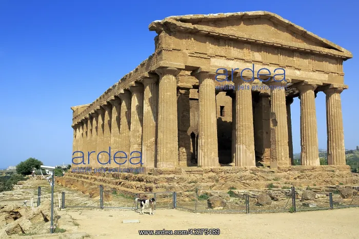 : geography / travel, Italy, Temple of Concordia (430 : geography / travel, Italy, Temple of Concordia (430