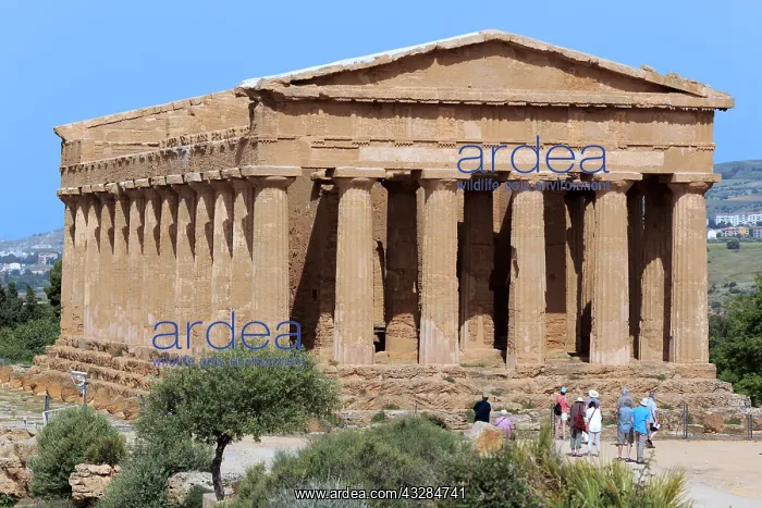 : geography / travel, Italy, Temple of Concordia (430 : geography / travel, Italy, Temple of Concordia (430