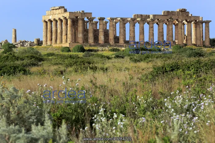 : geography / travel, Italy, Temple of Hera, Selinunte : geography / travel, Italy, Temple of Hera, Selinunte