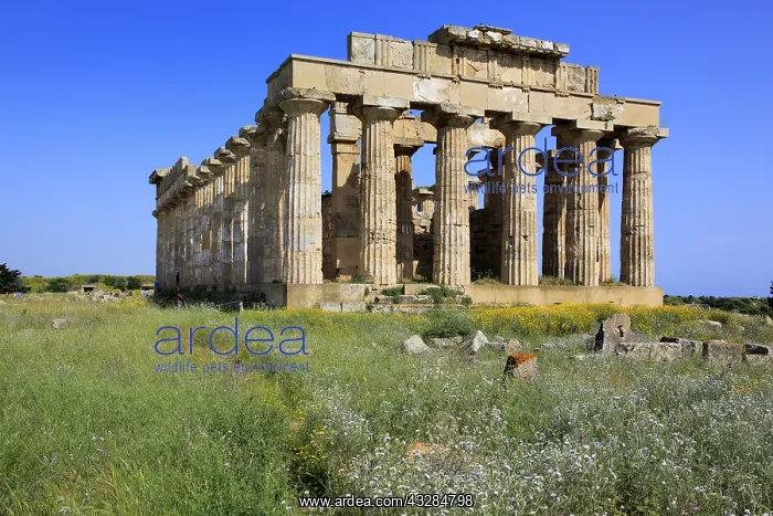 : geography / travel, Italy, Temple of Hera, Selinunte : geography / travel, Italy, Temple of Hera, Selinunte