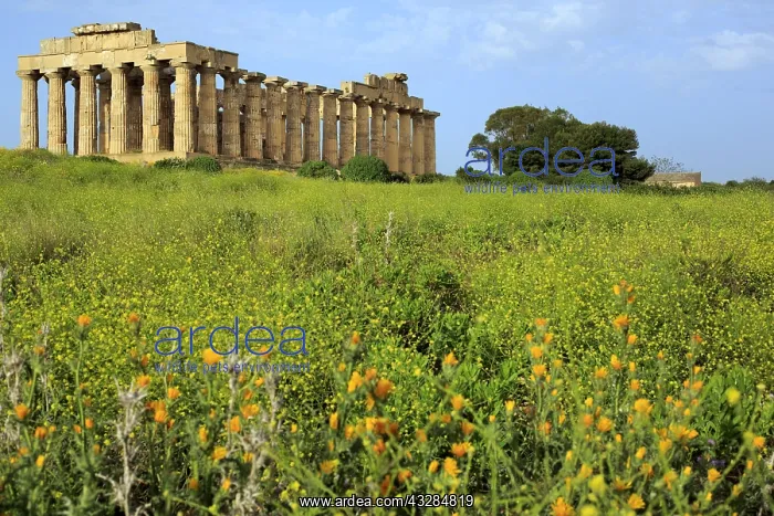 : geography / travel, Italy, Temple of Hera, Selinunte : geography / travel, Italy, Temple of Hera, Selinunte