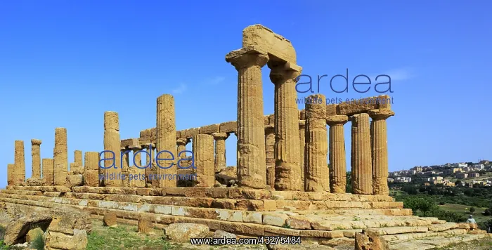 : geography / travel, Italy, Temple of Juno Lacinia : geography / travel, Italy, Temple of Juno Lacinia