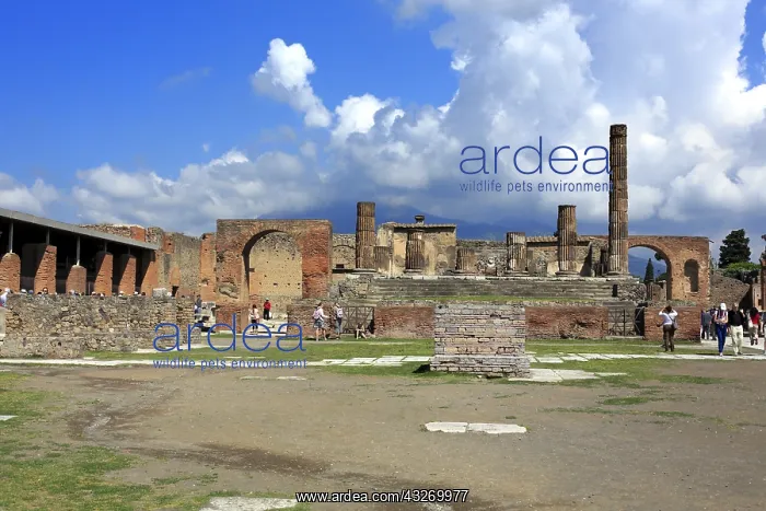 : geography / travel, Italy, Temple of Jupiter, Pompeii : geography / travel, Italy, Temple of Jupiter, Pompeii
