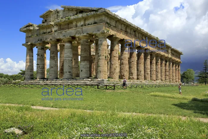 : geography / travel, Italy, Temple of Poseidon (450 : geography / travel, Italy, Temple of Poseidon (450