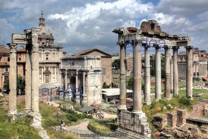 : geography / travel, Italy, Temple of Saturn, Roman : geography / travel, Italy, Temple of Saturn, Roman