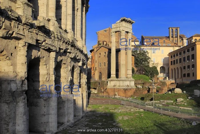 : geography / travel, Italy, Theatre of Marcellus : geography / travel, Italy, Theatre of Marcellus