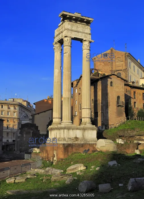 : geography / travel, Italy, Theatre of Marcellus : geography / travel, Italy, Theatre of Marcellus