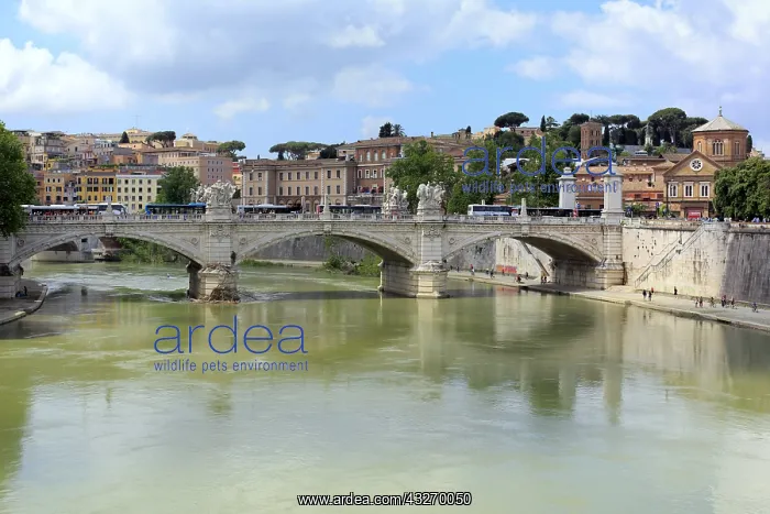 : geography / travel, Italy, Tiber river, Rome : geography / travel, Italy, Tiber river, Rome