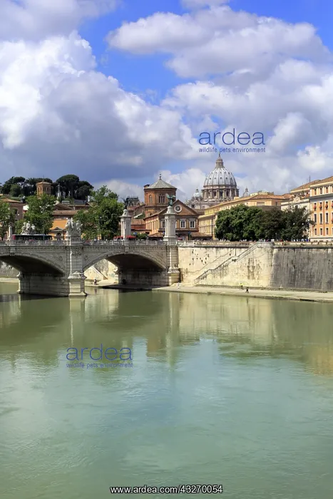 : geography / travel, Italy, Tiber river, Rome : geography / travel, Italy, Tiber river, Rome