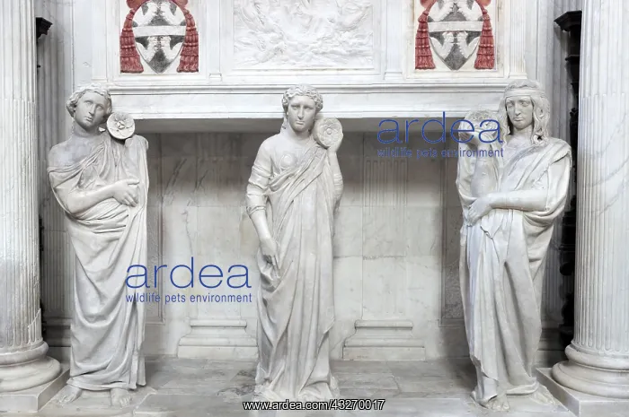 : geography / travel, Italy, Tomb of Cardinal Rainaldo : geography / travel, Italy, Tomb of Cardinal Rainaldo