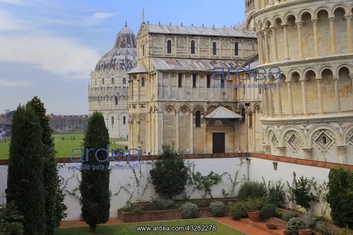 : geography / travel, Italy, Tuscany, Piazza dei Miracoli : geography / travel, Italy, Tuscany, Piazza dei Miracoli