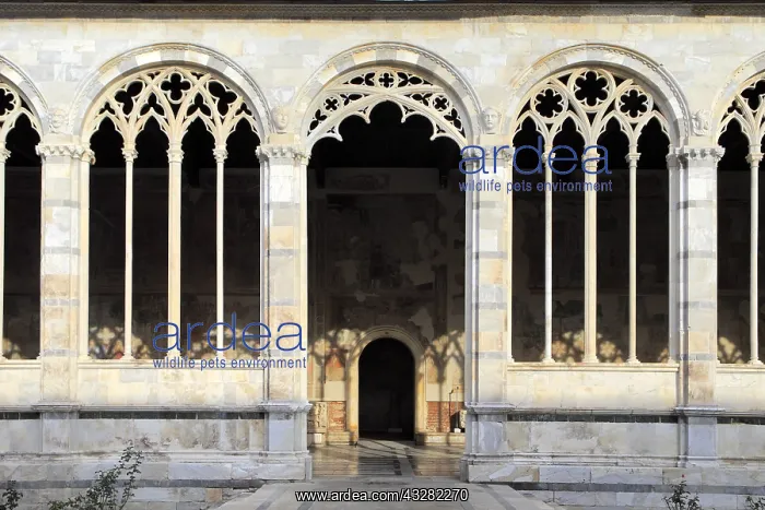 : geography / travel, Italy, Tuscany, Campo Santo : geography / travel, Italy, Tuscany, Campo Santo