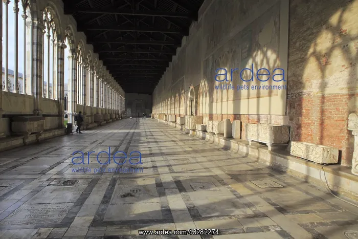 : geography / travel, Italy, Tuscany, Campo Santo : geography / travel, Italy, Tuscany, Campo Santo