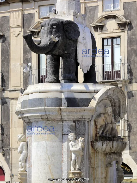 : geography / travel, Italy, u Liotru, symbol of the : geography / travel, Italy, u Liotru, symbol of the