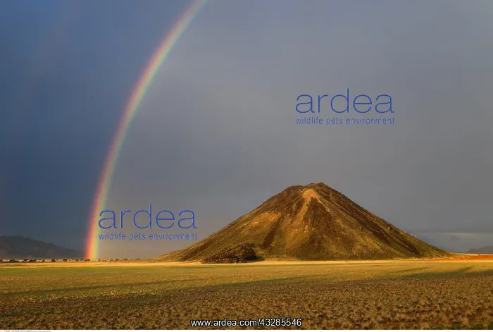 : geography / travel, Namibia, Landscape of a rainbow : geography / travel, Namibia, Landscape of a rainbow