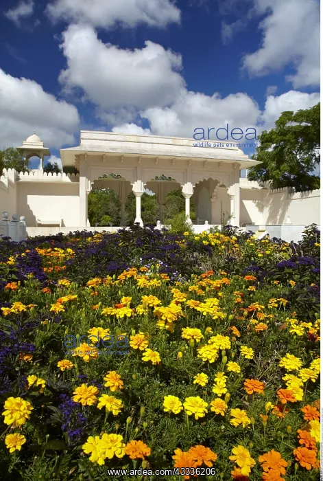 : geography / travel, New Zealand, Indian Char Bagh : geography / travel, New Zealand, Indian Char Bagh