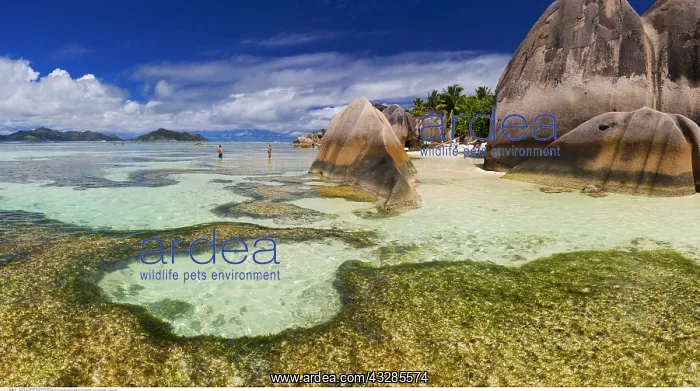 : geography / travel, Seychelles, Panoramic landscape : geography / travel, Seychelles, Panoramic landscape