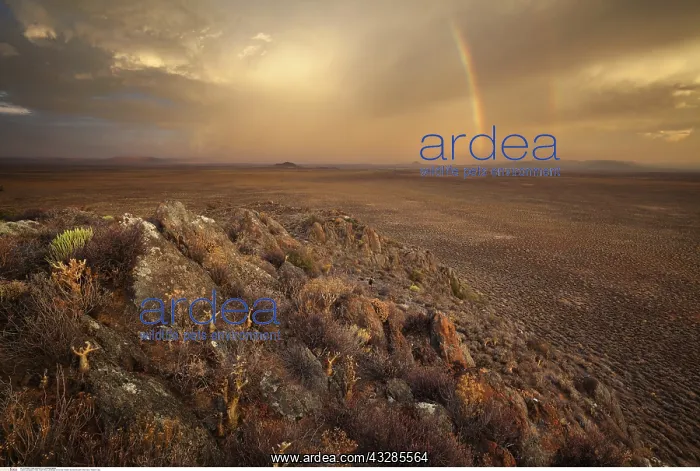  : geography  /  travel, South Africa, Landscape of a