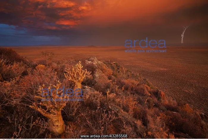  : geography  /  travel, South Africa, Landscape of a