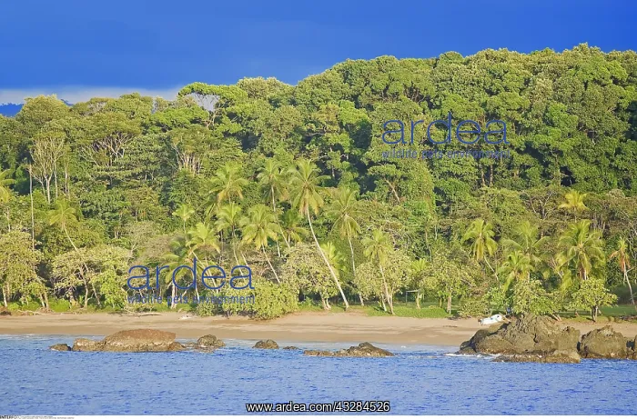 : geography / travel, Tropical beach, Bahia Drake : geography / travel, Tropical beach, Bahia Drake