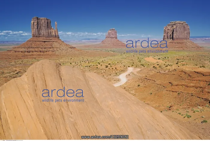 : geography / travel, USA, Arizona, Monument Valley : geography / travel, USA, Arizona, Monument Valley