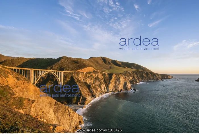 : geography / travel, USA, California, Big Sur, Bixby : geography / travel, USA, California, Big Sur, Bixby