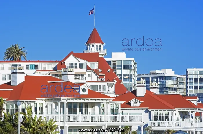 : geography / travel, USA, California, Hotel del Coronado : geography / travel, USA, California, Hotel del Coronado