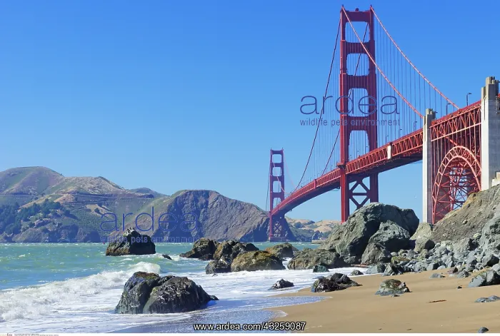 : geography / travel, USA, California, Golden Gate : geography / travel, USA, California, Golden Gate