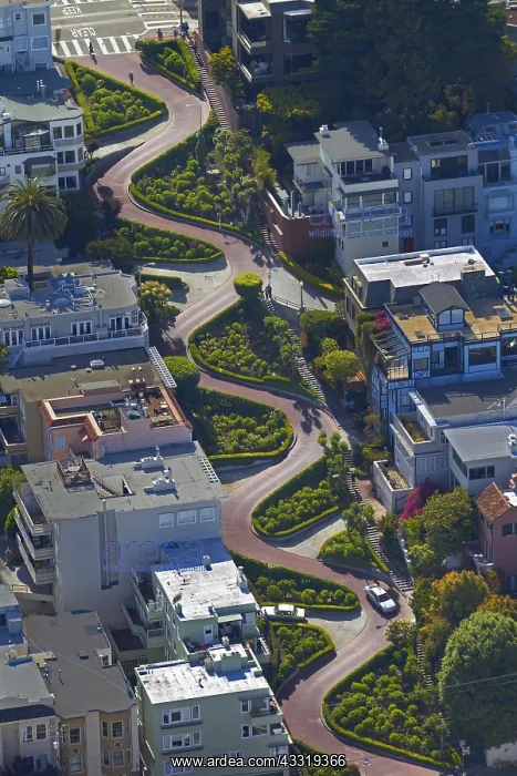 : geography / travel, USA, California, San Francisco : geography / travel, USA, California, San Francisco