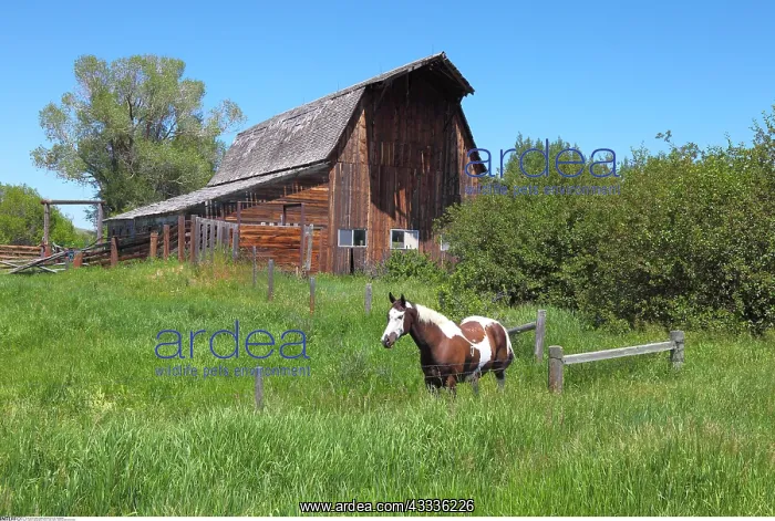 : geography / travel, USA, Idaho, Tetonia, Barn and : geography / travel, USA, Idaho, Tetonia, Barn and