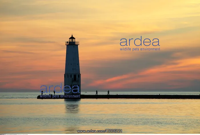 : geography / travel, USA, Michigan, Frankfort, Frankfort : geography / travel, USA, Michigan, Frankfort, Frankfort