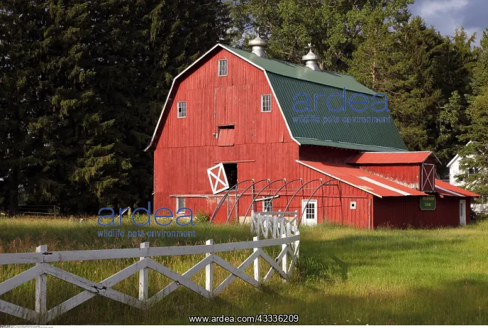 : geography / travel, USA, Michigan, Carp Lake, Red : geography / travel, USA, Michigan, Carp Lake, Red