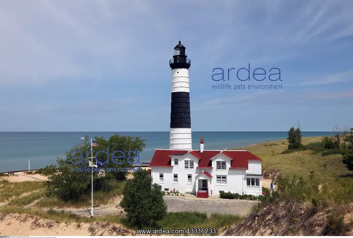 : geography / travel, USA, Michigan, Ludington State : geography / travel, USA, Michigan, Ludington State