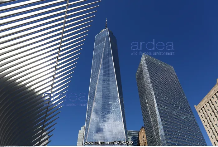 : geography / travel, USA, New York, New York City : geography / travel, USA, New York, New York City