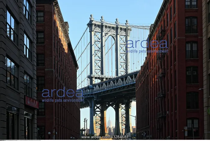 : geography / travel, USA, New York, New York City : geography / travel, USA, New York, New York City