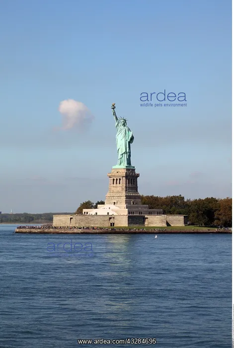 : geography / travel, USA, New York, New York City : geography / travel, USA, New York, New York City