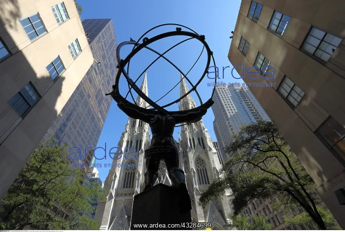: geography / travel, USA, New York, New York City : geography / travel, USA, New York, New York City