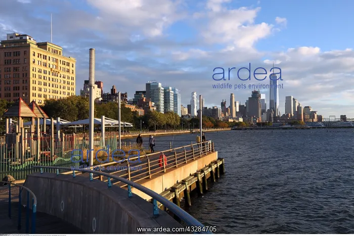 : geography / travel, USA, New York, New York City : geography / travel, USA, New York, New York City