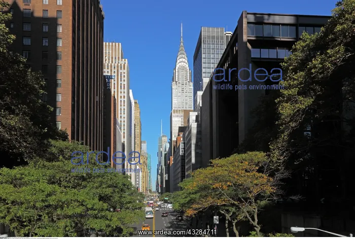 : geography / travel, USA, New York, New York City : geography / travel, USA, New York, New York City