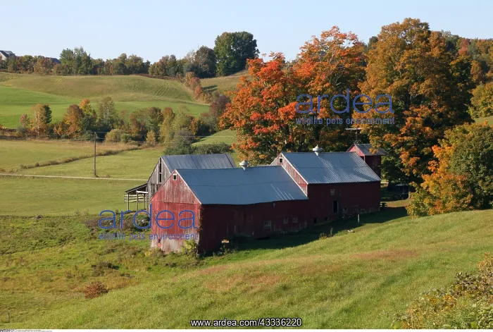 : geography / travel, USA, Vermont, South Woodbury : geography / travel, USA, Vermont, South Woodbury