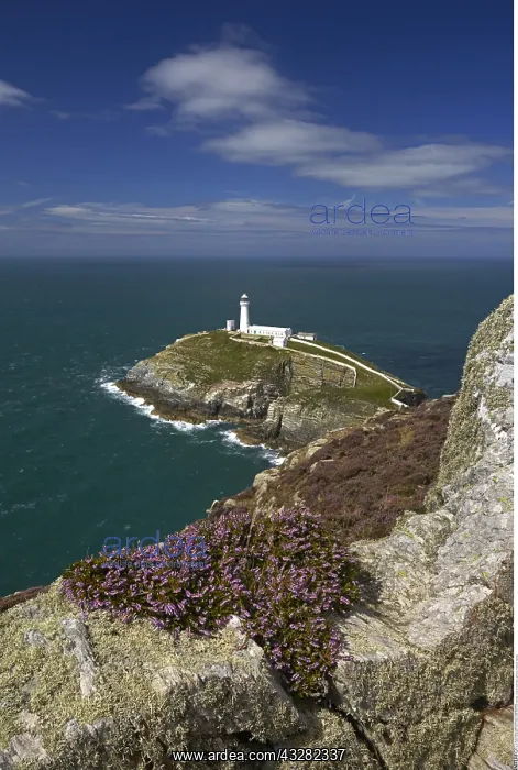 : geography / travel, Wales, South Stack near Holyhead : geography / travel, Wales, South Stack near Holyhead