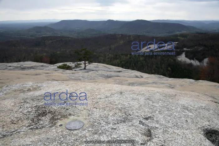 : Geological Marker : Geological Marker