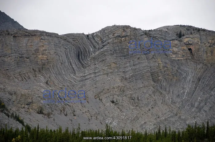 : Geological uplifting : Geological uplifting