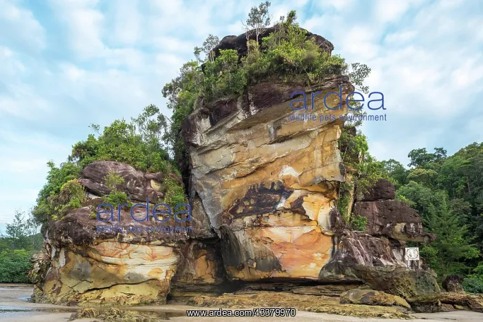 : Geologically interesting sandstone rock formatio : Geologically interesting sandstone rock formatio