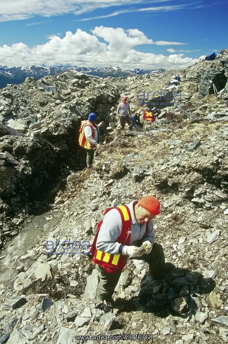 : Geologists Searching for Emeralds : Geologists Searching for Emeralds