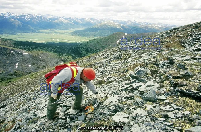  : Geologists Searching for Emeralds