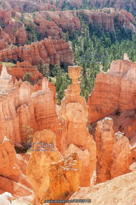 : Geology, erosion landscape, edge of the Paunsaugunt : Geology, erosion landscape, edge of the Paunsaugunt